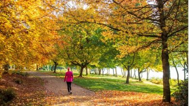 بهترین پارکهای پاییزی تهران برای قدم زدن + آدرس