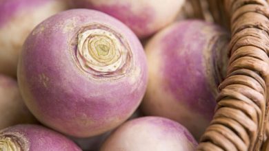 نکات پخت شلغم در هواپز و قابلمه؛ برای خوشمزهتر شدن