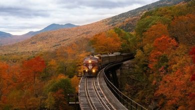 5 نکته ضروری برای داشتن یک سفر پاییزی دلنشین با قطار