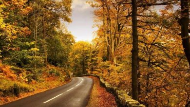 جاذبه‌های پاییزی در اسالم؛ جایی که طبیعت نفس می‌کشد