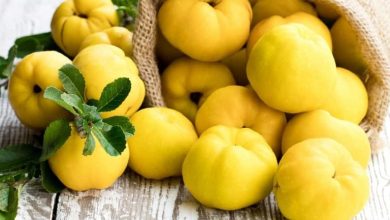 با این راهکار به گس و بی‌مزه را به یک به رسیده و آبدار تبدیل کنید