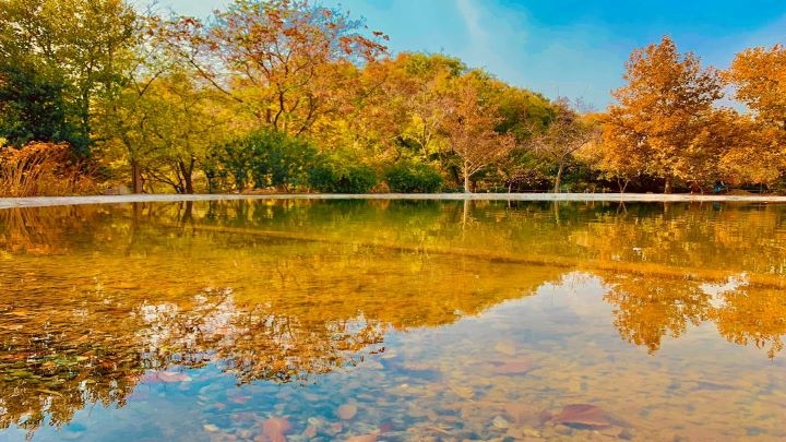لوکیشنهای پاییزی در تهران برای عکس گرفتن لوکیشنهای پاییزی در تهران برای عکس گرفتن