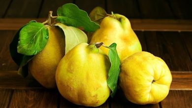 با بهترین روش‌های نگهداری به برای مدت طولانی آشنا شوید