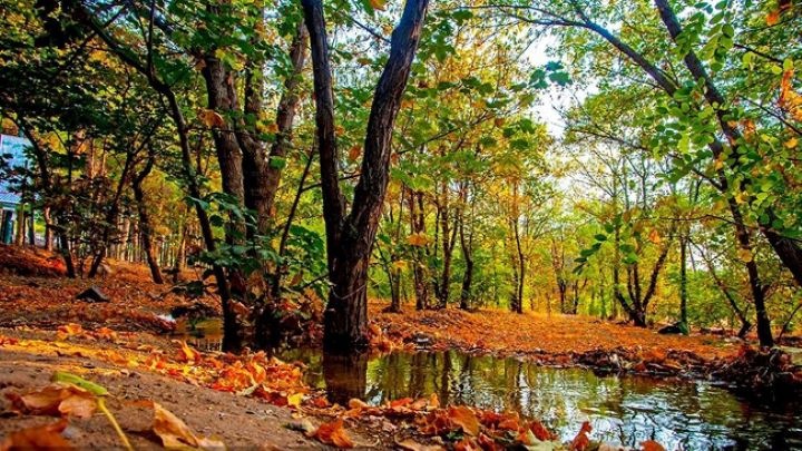 لوکیشنهای پاییزی در تهران برای عکس گرفتن لوکیشنهای پاییزی در تهران برای عکس گرفتن