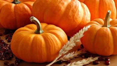 کدو حلوایی در فریزر؛ روش‌های صحیح نگهداری و مصرف