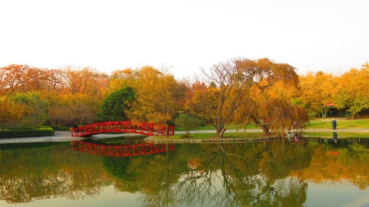 معرفی قسمت‌های مختلف باغ گیاه شناسی تهران