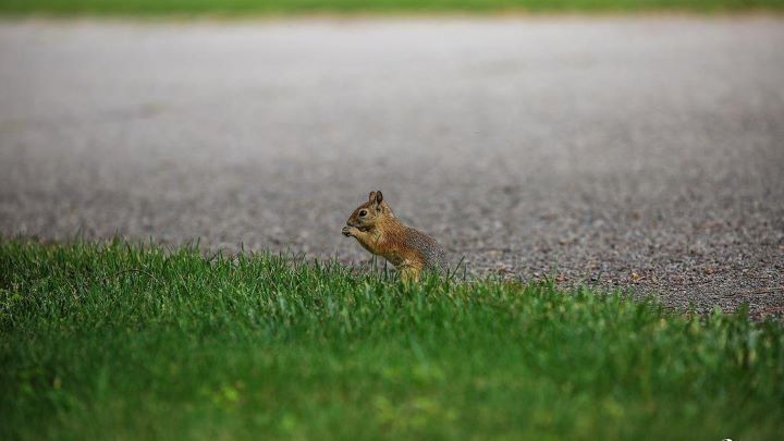 معرفی قسمت‌های مختلف باغ گیاه شناسی تهران