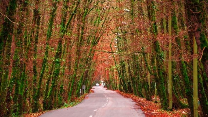 بهترین جاهای دیدنی اسالم در پاییز