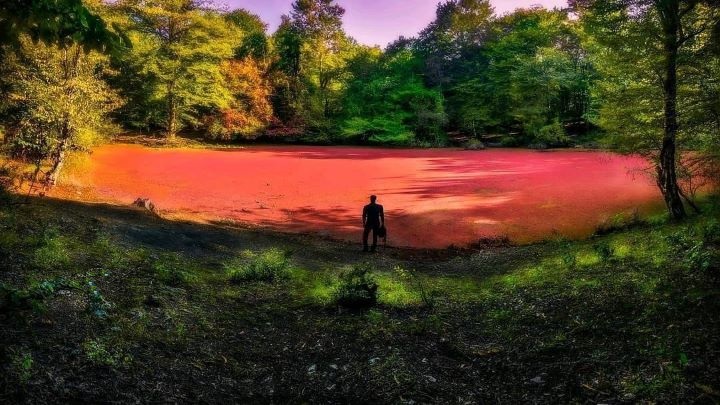 مرداب هسل؛ نارنجیترین منطقه چالوس مرداب هسل؛ نارنجیترین منطقه چالوس