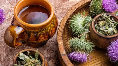 طرز تهیه دمنوش خار مریم + بهترین زمان مصرف