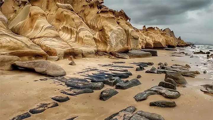 جاذبههای گردشگری ساحل مکسر جاذبههای گردشگری ساحل مکسر