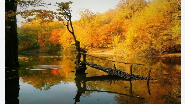 مرداب هسل، نارنجی ترین جای چالوس مرداب هسل، نارنجی ترین جای چالوس