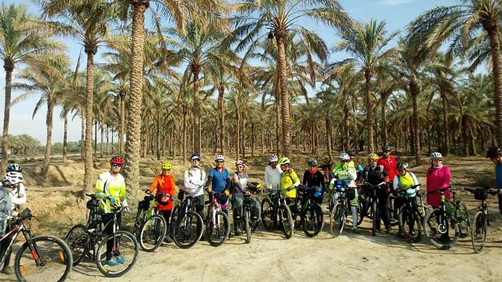 بهترین زمان بازدید از نخلستانهای آبپخش بهترین زمان بازدید از نخلستانهای آبپخش