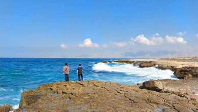 خلیج نایبند در بوشهر؛ اولین پارک ملی دریایی ایران را بشناسید