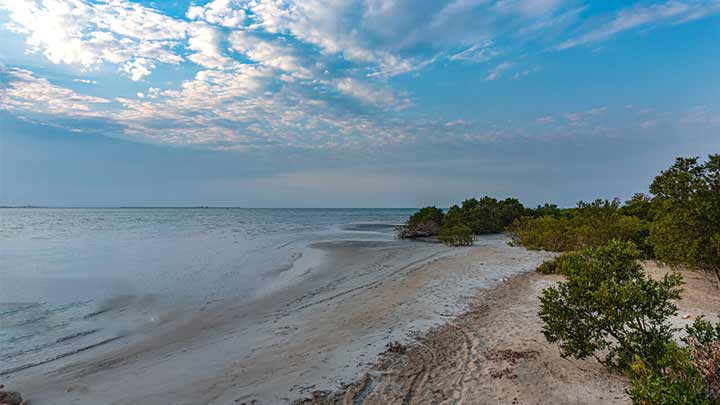 پارک ملی دریایی نایبند پارک ملی دریایی نایبند