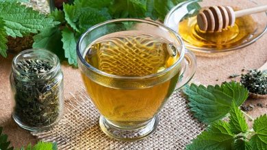 طرز تهیه دمنوش گزنه + زمان مصرف؛ یک نوشیدنی ایده‌آل