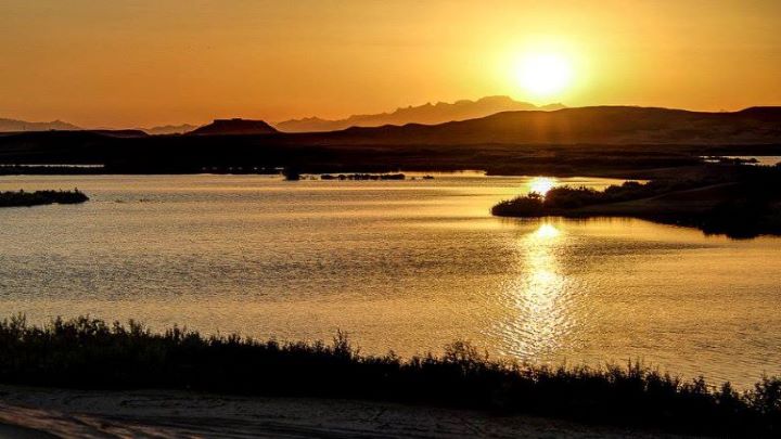 جاذبه های گردشگری تالاب پساب یزد