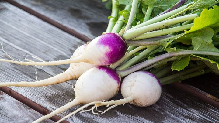 چند ترفند جالب و کاربردی پاییزی در آشپزی