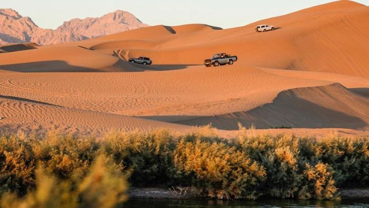 جاذبه های گردشگری تالاب پساب یزد