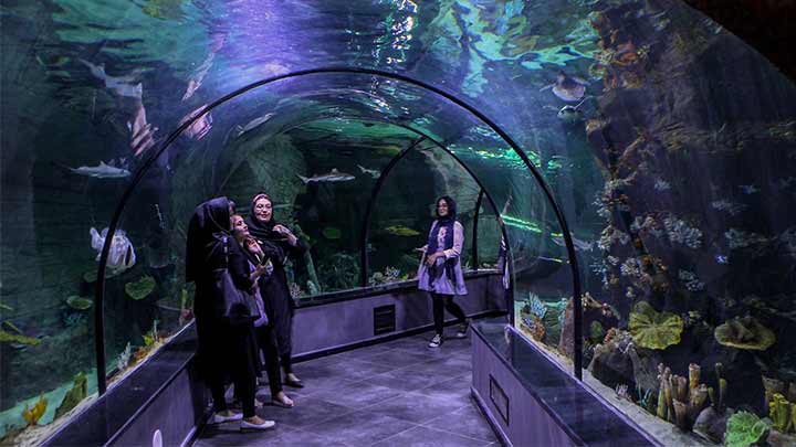 معرفی آکواریوم بندر انزلی