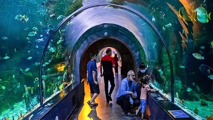 تفریحات آکواریوم انزلی