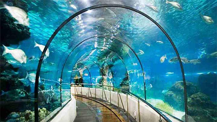 بهترین زمان بازدید از آکواریوم بندر انزلی