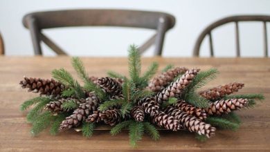 27 ایده جذاب و خلاقانه تزیین میز با میوه کاج