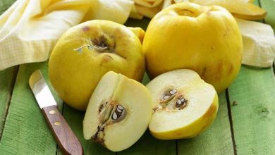 کالری میوه به چقدر است؟