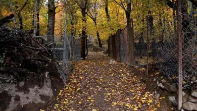 معرفی روستای ایگل تهران؛ برای یک سفر پاییزی