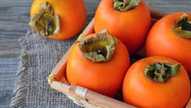 خرمالو چقدر کالری دارد؟