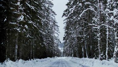 جاده‌های دیدنی ایران در زمستان؛ مسیرهایی که باید تجربه کنید
