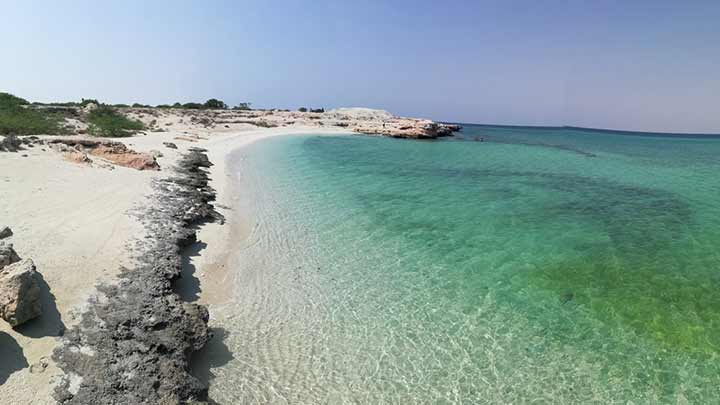 جزیره مرجانی لاوان از لوکیشن‌های خاص عسلویه و پارسیان