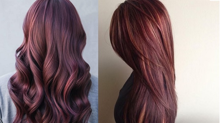 رنگ موی سفید: از رنگ‌های تیره تا روشن، کدام یک مناسب شماست؟