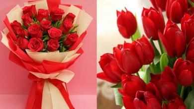 معرفی 11 گل سرخ رنگ برای کادو شب یلدا + عکس