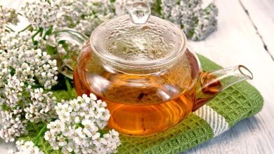 طرز تهیه دمنوش بومادران + بهترین زمان مصرف