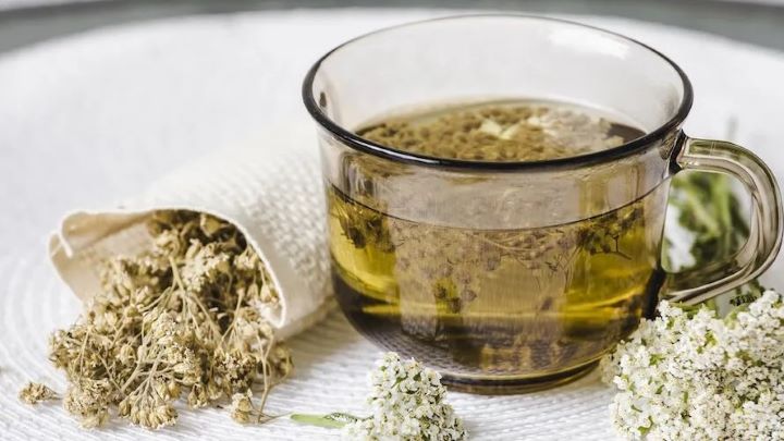 طرز تهیه دمنوش بومادران طرز تهیه دمنوش بومادران