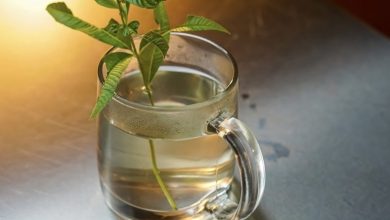 طرز تهیه شربت به لیمو+ نکات و فوت‌وفن ها