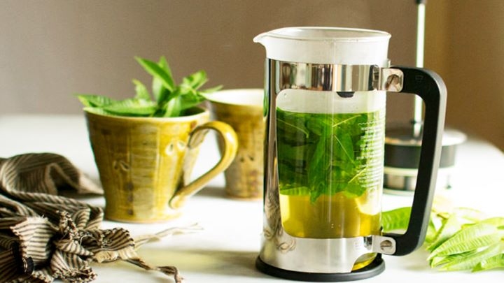 طرز تهیه دمنوش پونه و به لیمو طرز تهیه دمنوش پونه و به لیمو