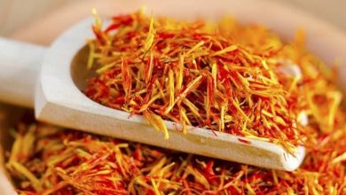 ریشه زعفران چیست و چه کاربردی دارد؟