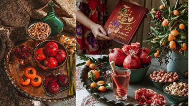 راز پنهان در هسته زیتون؛ فوایدی که نمی‌دانستید