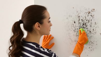 9 روش طلایی برای از بین بردن بوی رطوبت و نم از خانه
