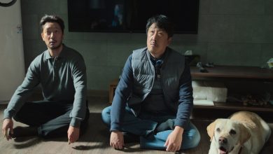 مینی‌ سریال‌‌های برتر کره‌ای 2024 که نباید از دست بدهید