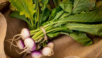 کالری برگ شلغم چقدر است؟