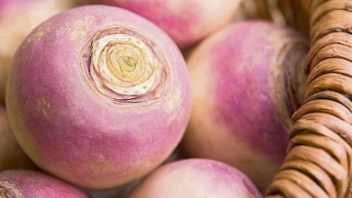 کالری شلغم چقدر است؟