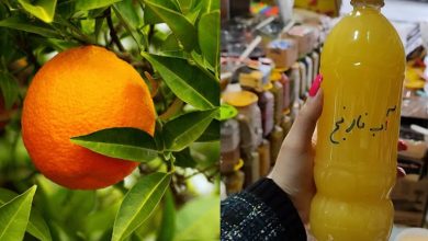 طرز تهیه آب نارنج خانگی بدون تلخی+ نکات و فوت‌وفن ها