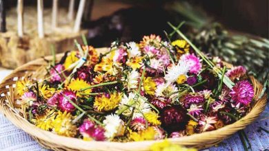 روش‌ خشک کردن گل؛ با تافت، پارافین، مایکروفر و روش‌های طبیعی