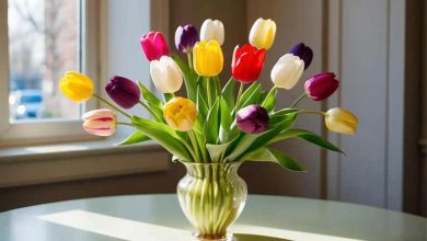 روش نگهداری صحیح گل لاله در منزل+ روش کاشت