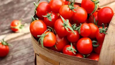 کالری گوجه فرنگی چقدر است؟