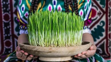 سبزه‌های عید را کی بکاریم؟ معرفی بذرها و نحوه کاشت