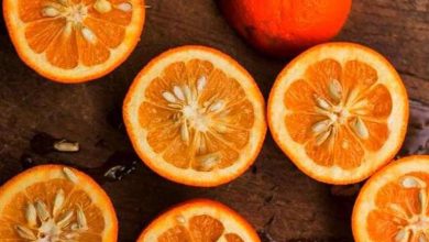 کالری نارنج چقدر است؟